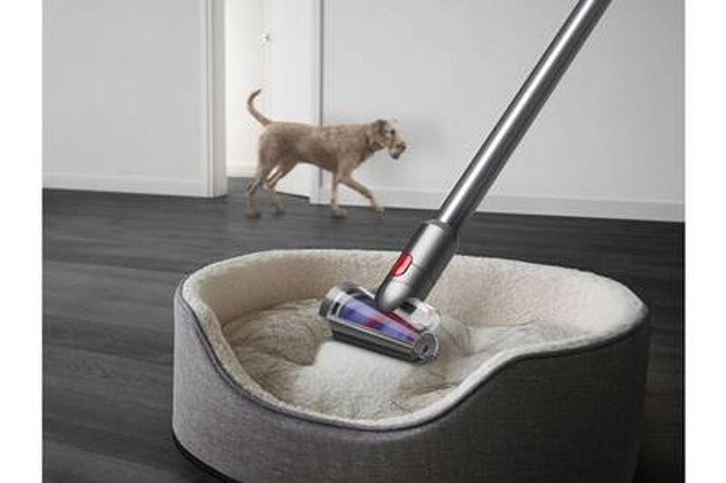 elimination des poils animaux avec la mini brosse dyson v12